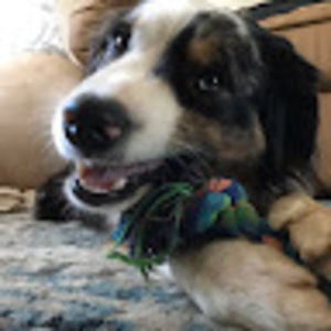 Meet your Posher, Wade